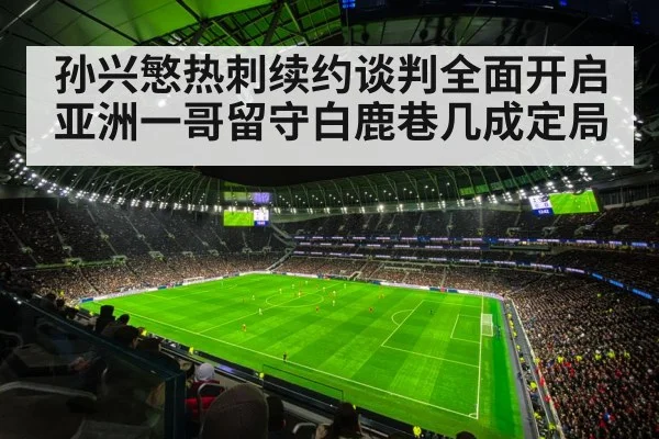 Tottenham Hotspur stadium
